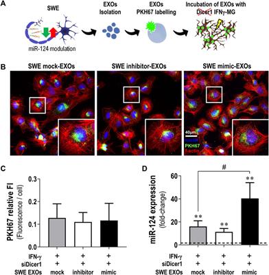 Protective Signature of IFNγ-Stimulated Microglia Relies on miR-124-3p Regulation From the Secretome Released by Mutant APP Swedish Neuronal Cells